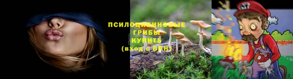 мяу мяу кристалл Богданович